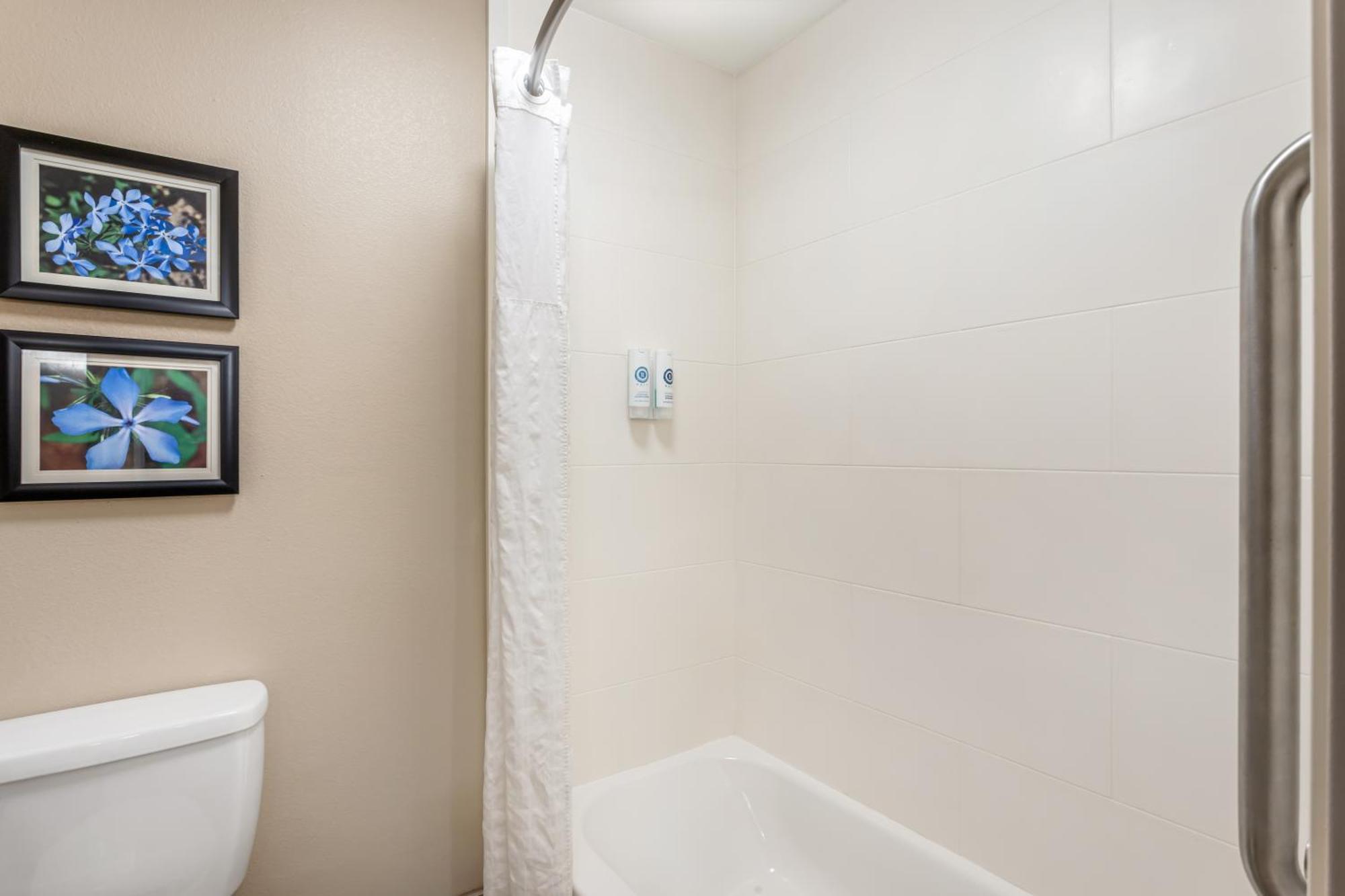 Comfort Inn & Suites Conway Extérieur photo