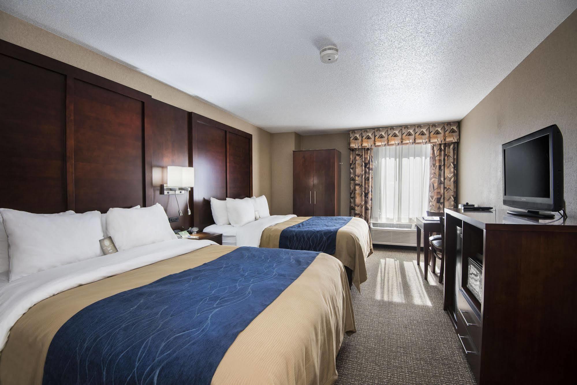 Comfort Inn & Suites Conway Extérieur photo